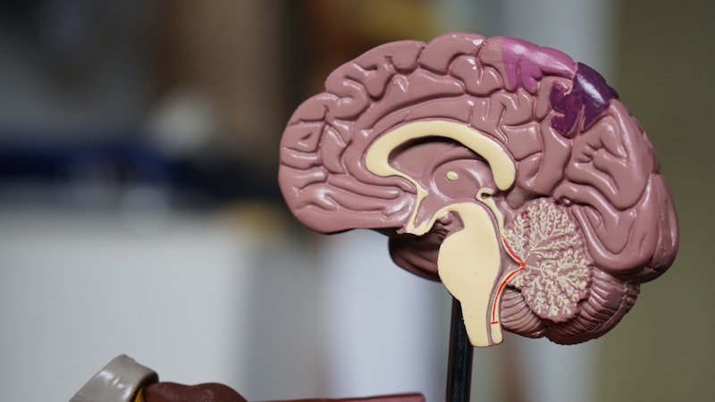 Myofascial Pain and Neuralgia